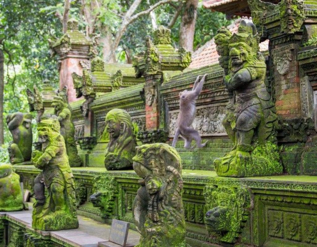 UbudMonkey